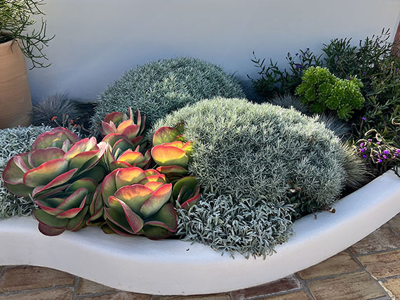  Jardines de altura (2ª parte) 